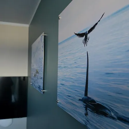 Hotel Suitehotel Andenes